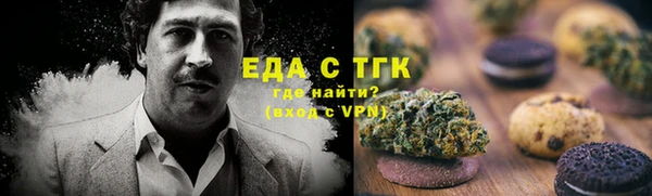 твердый Бородино