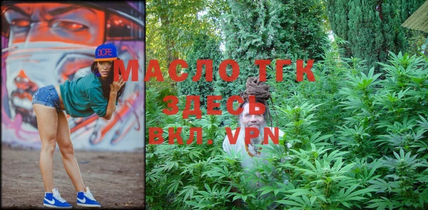 твердый Бородино