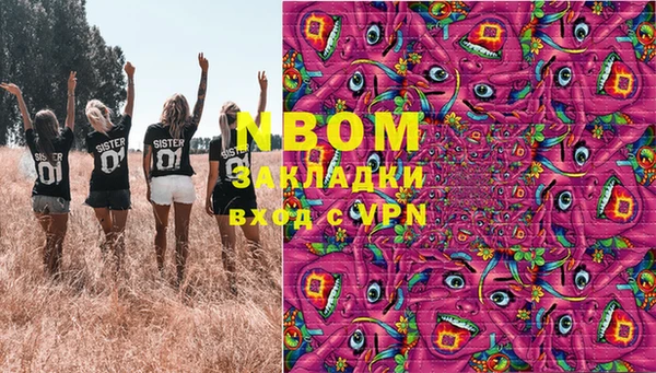 СК Бронницы