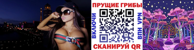 закладка  Гороховец  Галлюциногенные грибы Psilocybine cubensis 